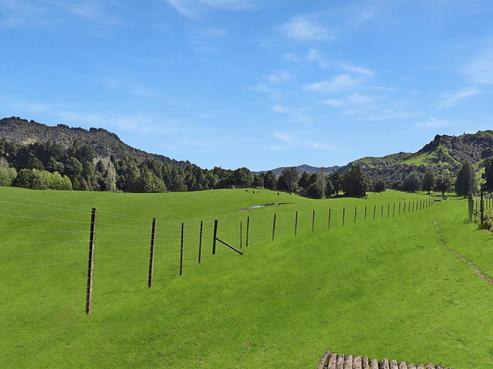 993 Upper Retaruke Road, Owhango