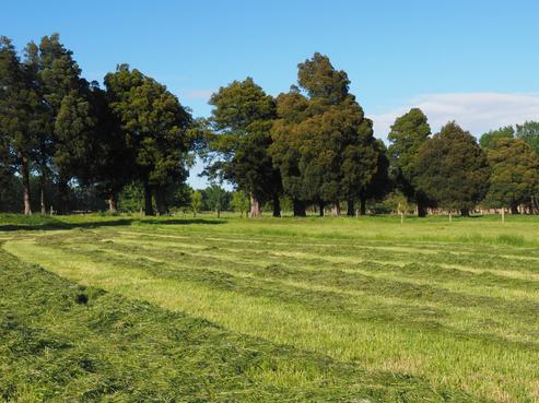273B Diversion Road, Featherston