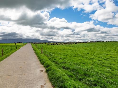 2174 Eltham Road, Manaia