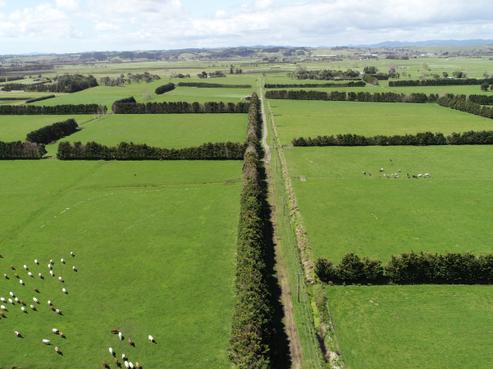 588 Gill Road, Kaitaia