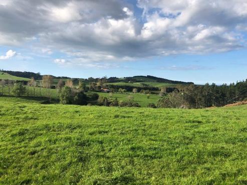 49 McLeod Road, Kerikeri Surrounds