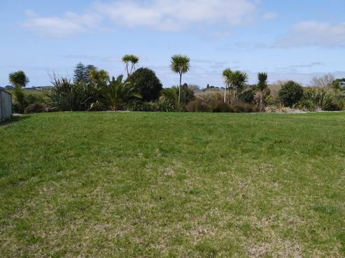19 Celtic Place, Waipu