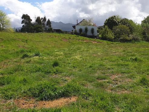 109 Mcclintock Street, Pirongia
