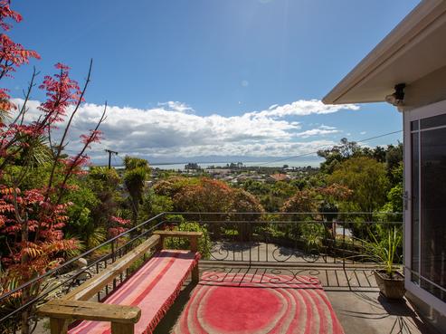 17 Tamaki Street, Tahunanui
