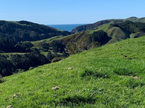 734 Makara Road, Makara