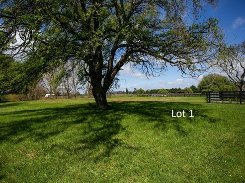 310 Kaipaki Road, Ohaupo