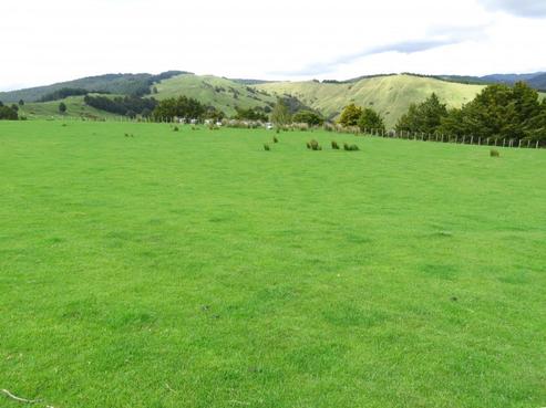 616 Whangaripo Valley Road, Whangaripo