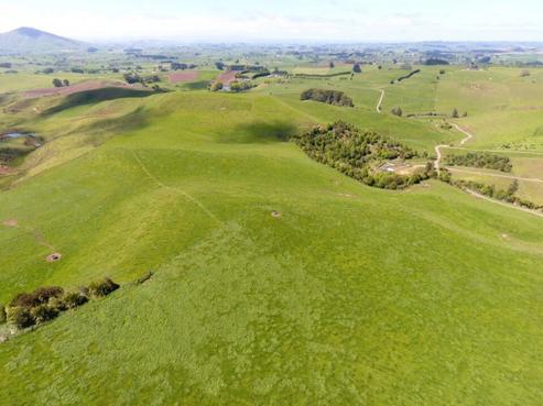 140 Te Tahi Road, Pirongia