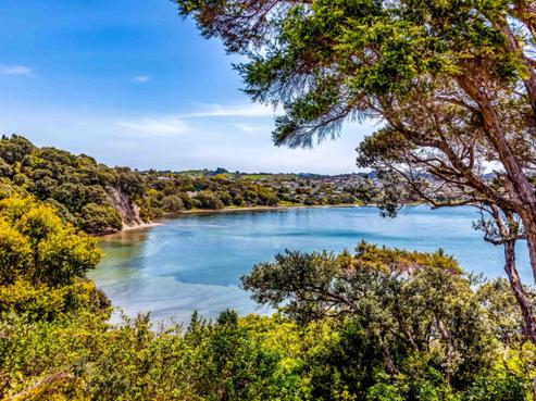 60 Fidelis Avenue, Snells Beach