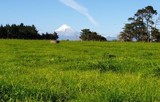 5 Rona Road, Brixton