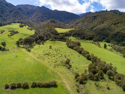 1743 Te Aroha-gordon Road, Gordon