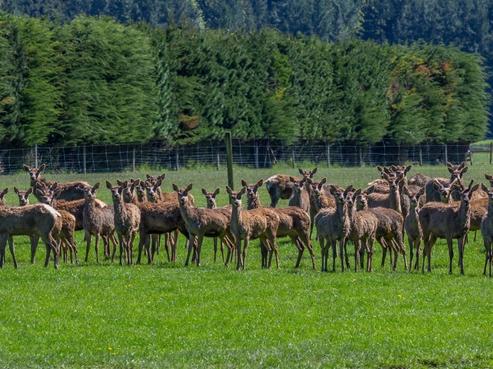 300 Woodbank Road, Hanmer Springs