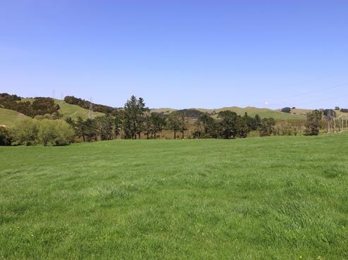 38 Ross Road, Topuni
