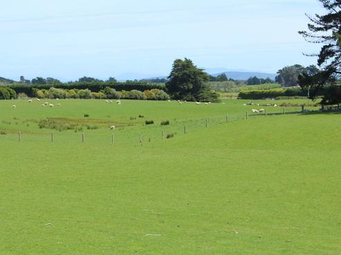 116 Mason Road, Tisbury