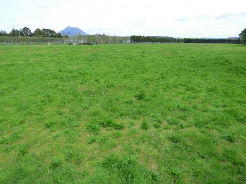 410 Macdonald Road, Te Teko