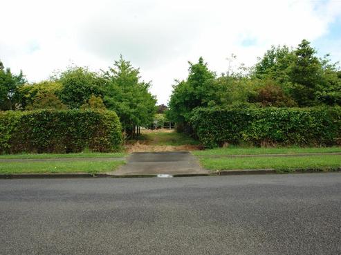 29 Chester Street, Waverley