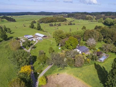 18 Poplar Grove, Bulls