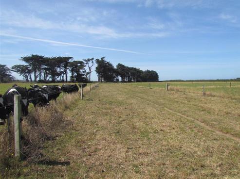 244 Tawhiti Road, Hawera