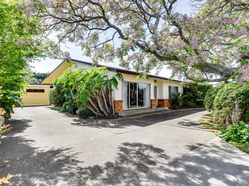 37 Balliol Avenue, Pirimai