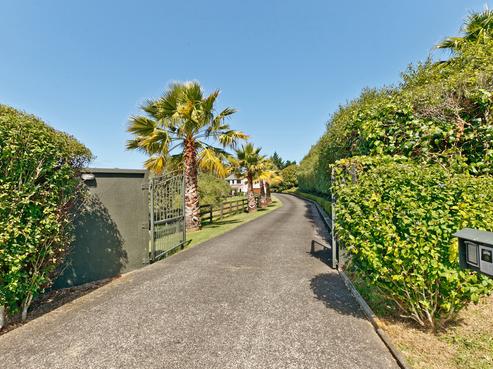 16 Rodeo Drive, Redvale
