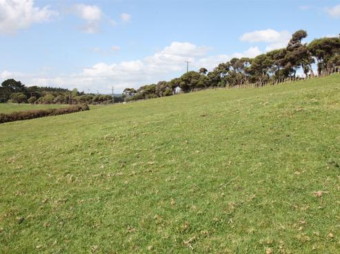 142 Evans Road, South Head