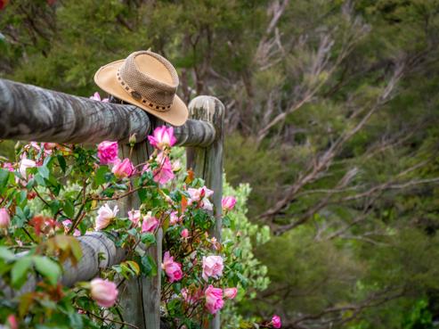 407 Upper Waingawa Road, Upper Plain