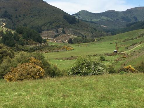 125 McIntosh Road, Upper Waitati