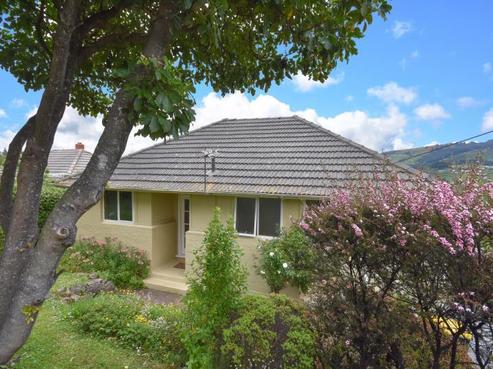 53 Hillary Street, Liberton