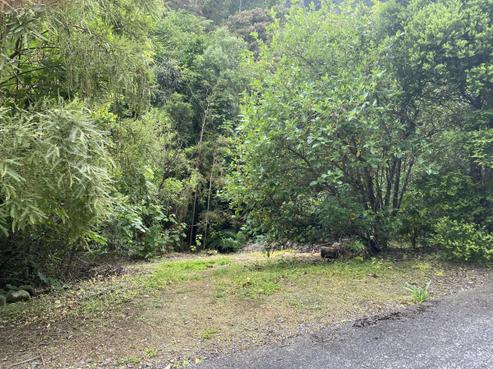 75 Elmslie Road, Pinehaven