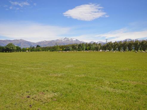 323 Clayton Road, Fairlie