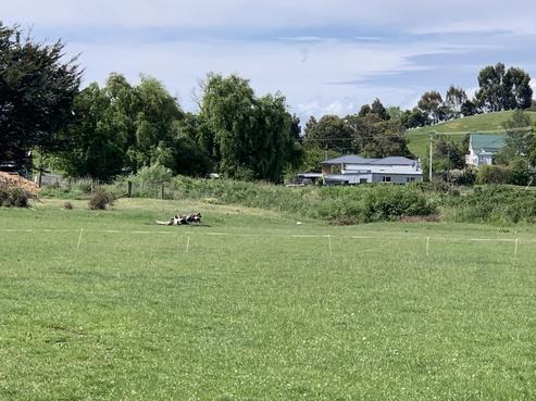 17A Mcgreevy Street, Waipawa