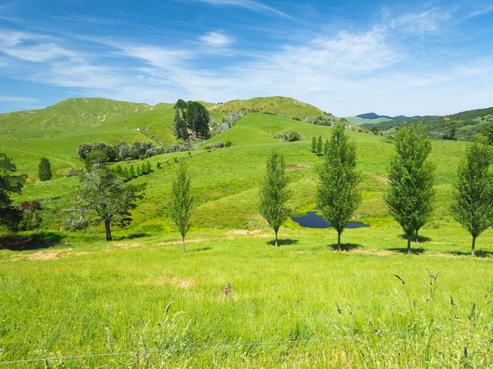 809 Awamate Road, Wairoa