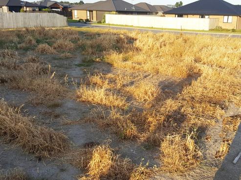 23 Kendon Drive, Rolleston
