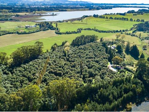 159 Walker Road East, Aongatete