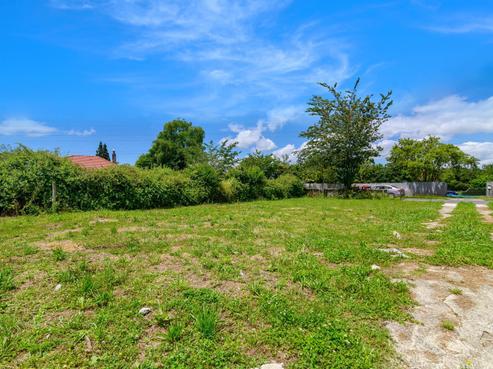 24 Wrigley Road, Fordlands