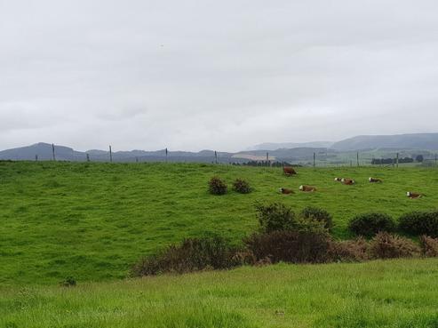 14 Coronation Street, Moeraki