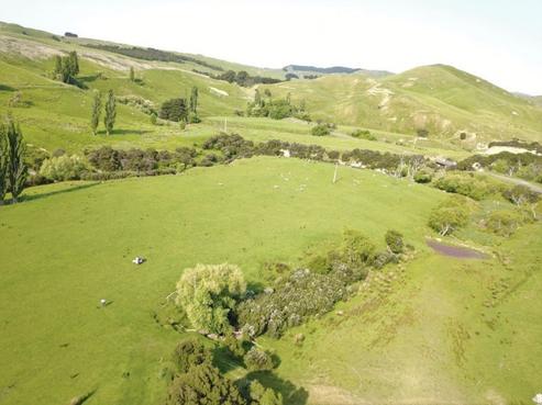 11526 Route 52, Pongaroa