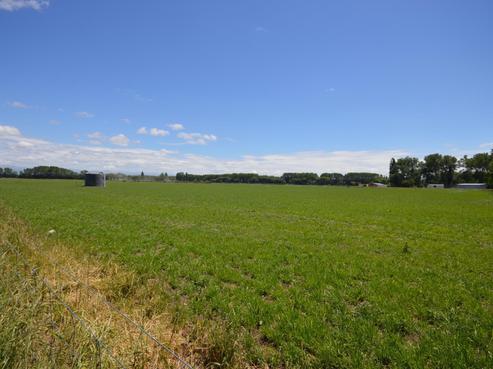 120 Te Ngawai Road, Pleasant Point