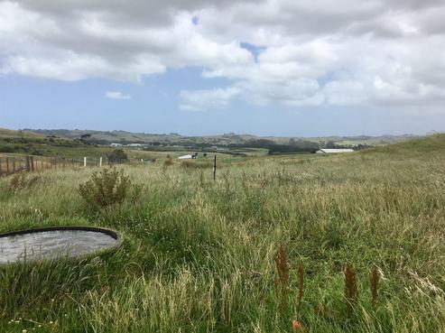 530 Kaiwaka-mangawhai Road, Kaiwaka