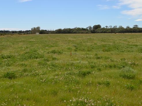 1398 Main North Road, Waikuku