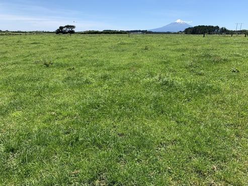 347 Turuturu Road, Hawera