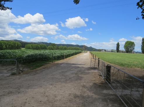 6261 State Highway 1, Kinleith
