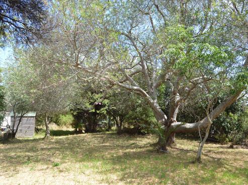 22 North Avenue, Mangawhai Heads