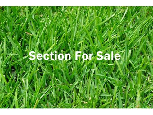 5 Primrose Lane, Karangahake