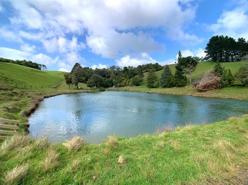 283 Trig Road, Tuakau