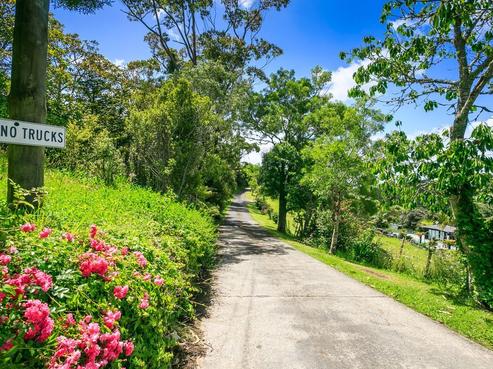 219 Gills Road, Albany Heights