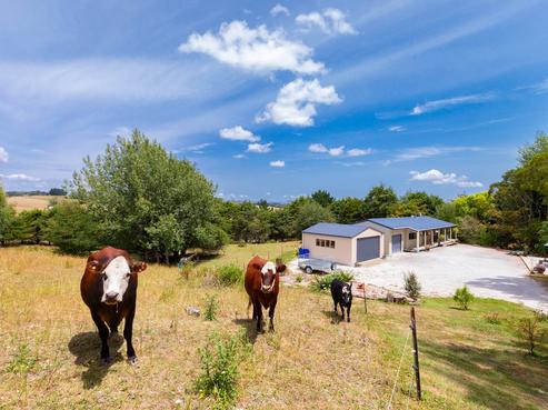 358 Mangawhai Road, Wellsford