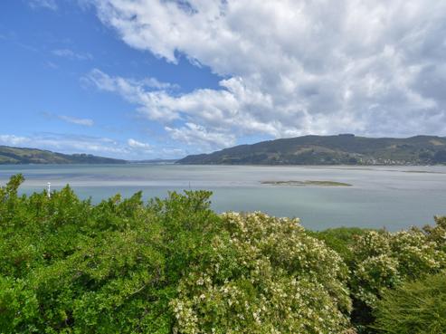 20 Bayne Terrace, Macandrew Bay