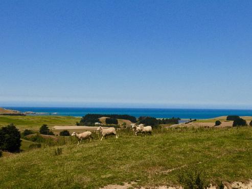 150 Kemp Road, Moeraki