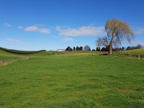 254 Somerville Road, Tapapa